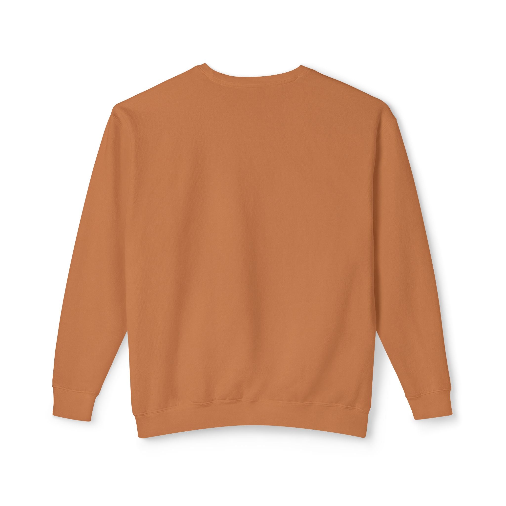 Minimalist "Saturated Fan" Crewneck Sweatshirt