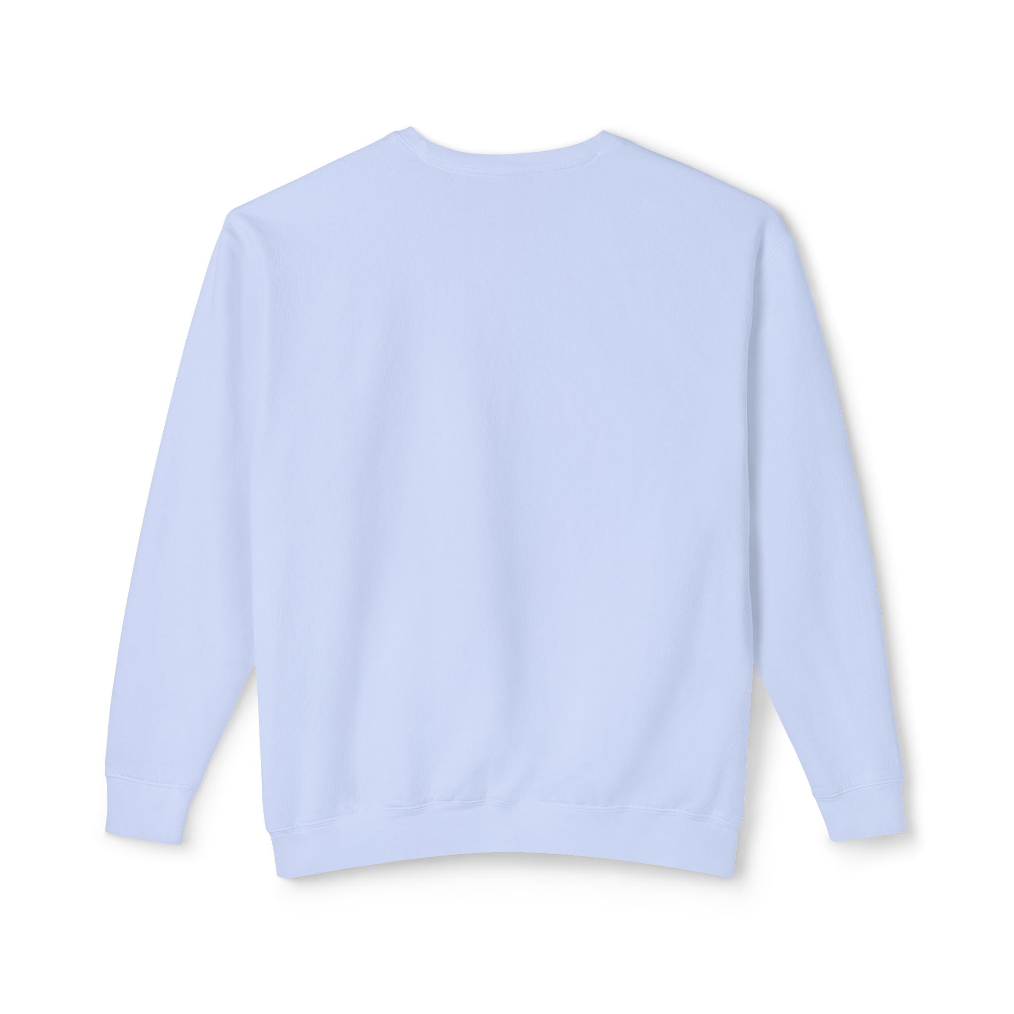 Minimalist "Saturated Fan" Crewneck Sweatshirt