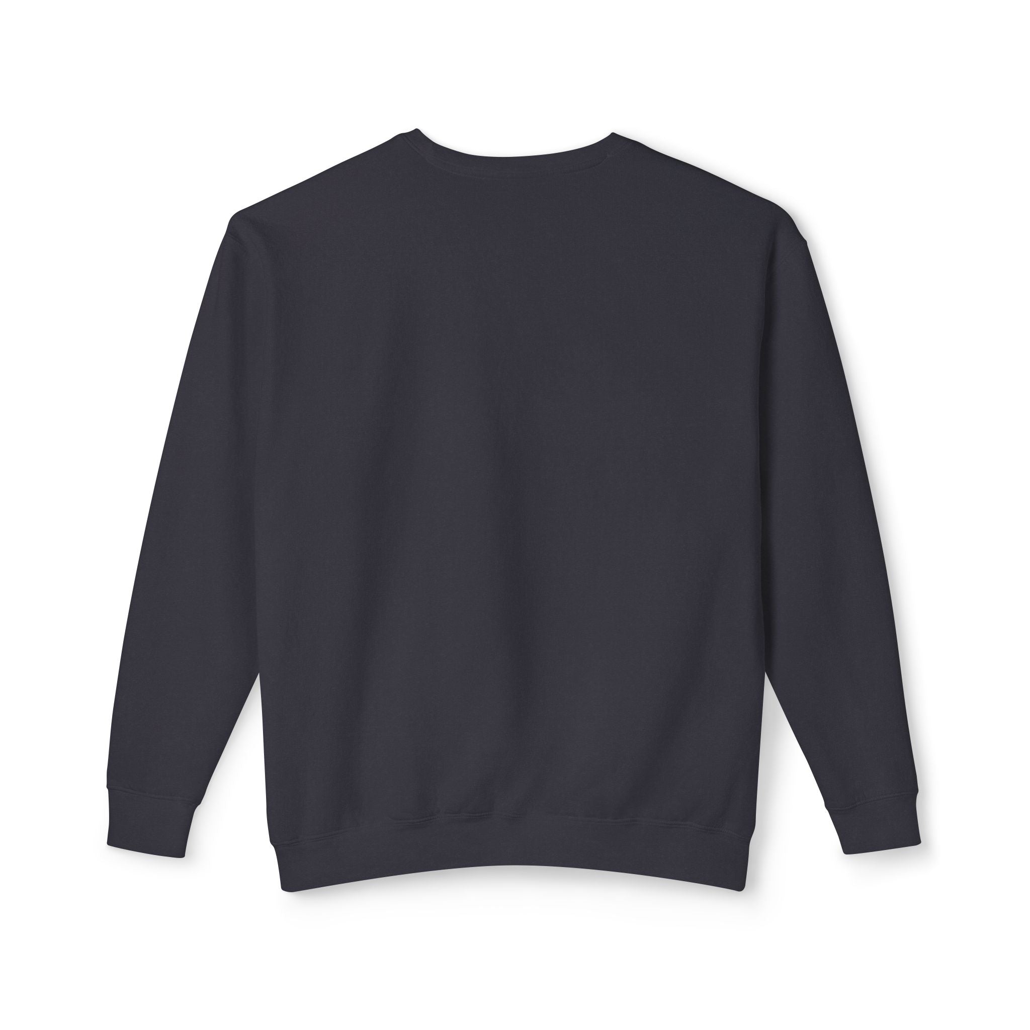 Minimalist "Saturated Fan" Crewneck Sweatshirt