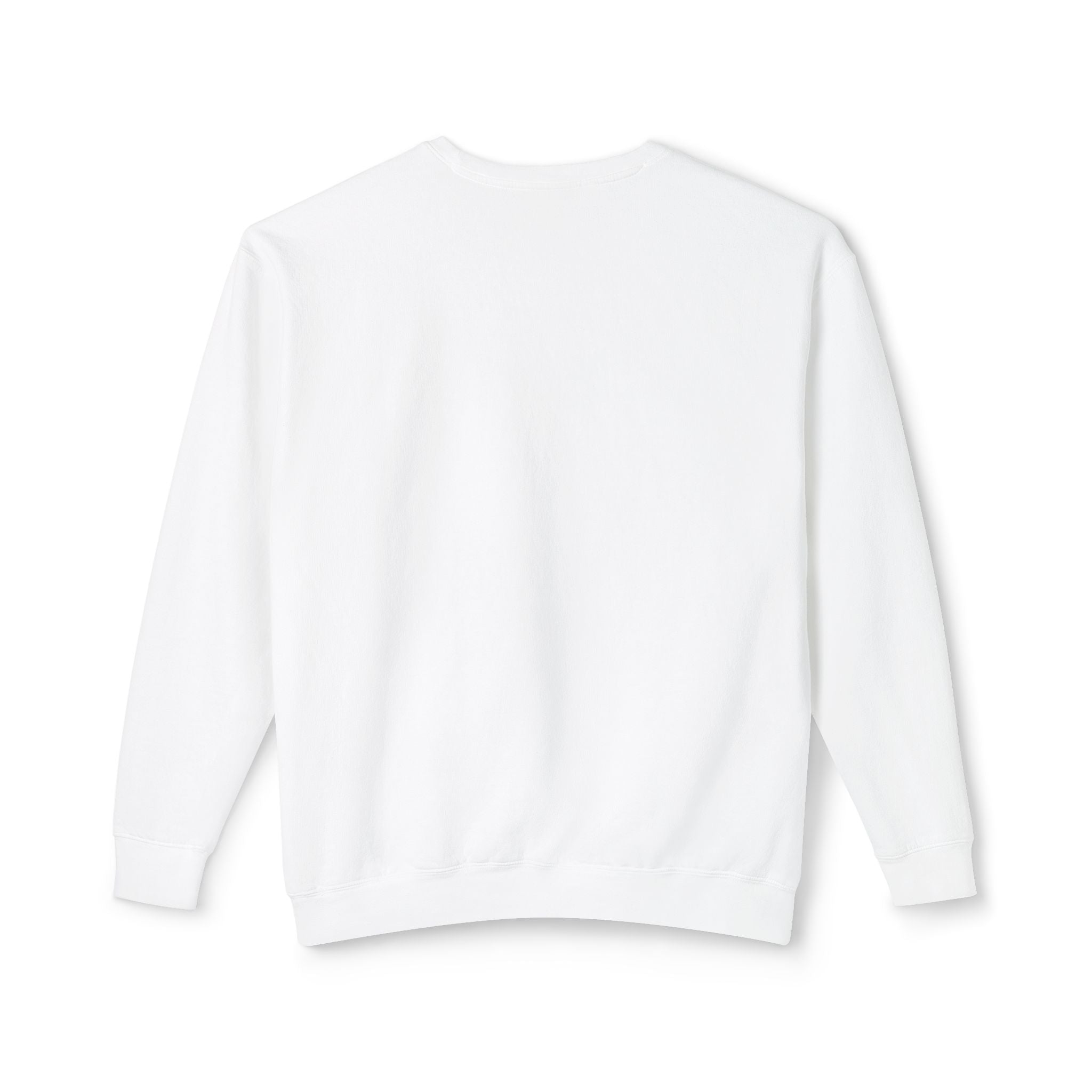 Minimalist "Saturated Fan" Crewneck Sweatshirt